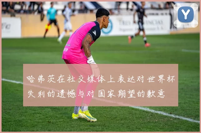 哈弗茨在社交媒体上表达对世界杯失利的遗憾与对国家期望的歉意
